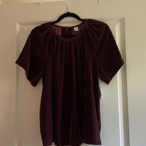 NWT Old Navy Velvet Top